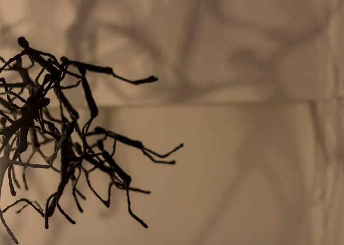 Casa Latina Lägenhet